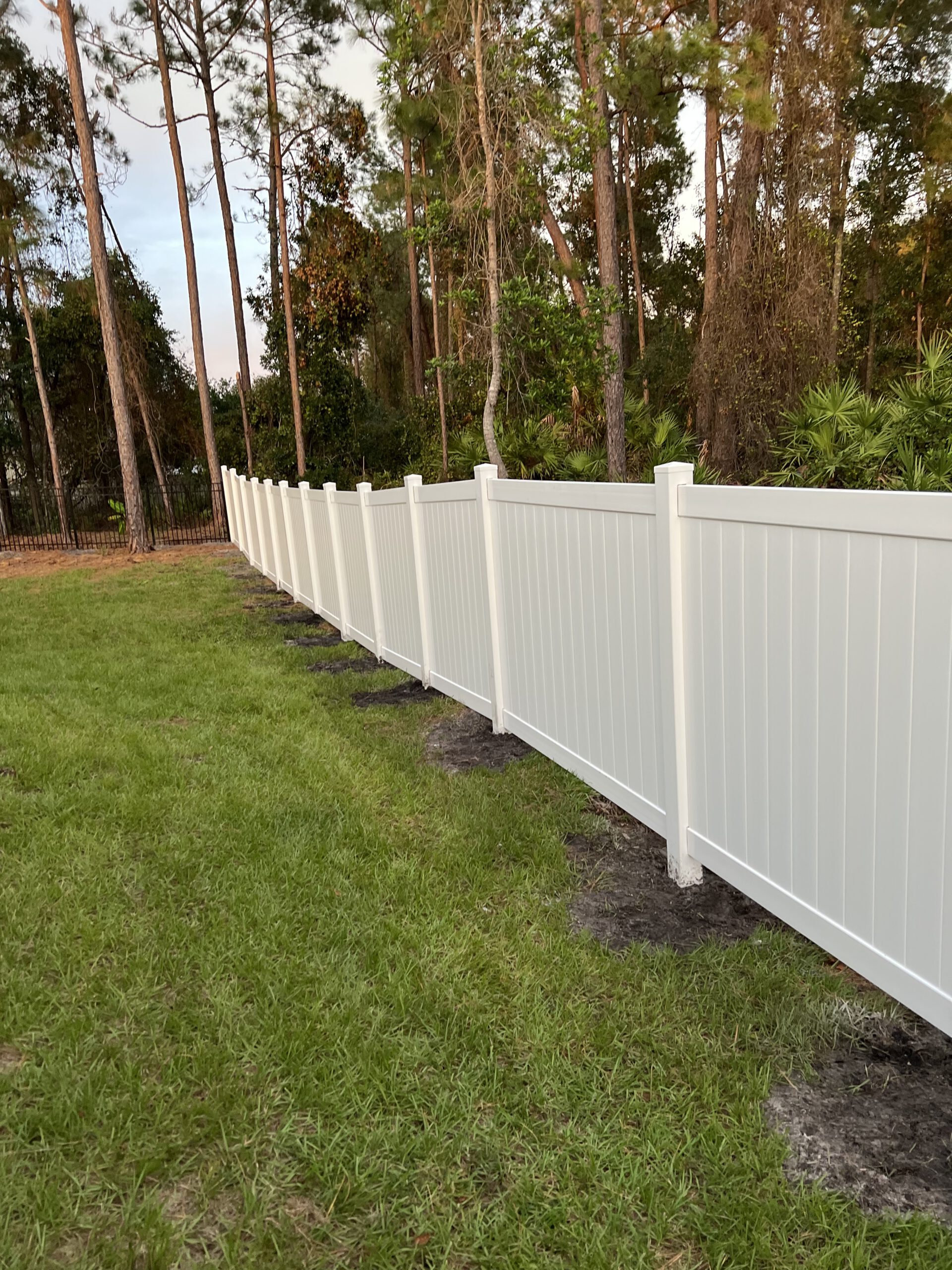 Citadel Fence project