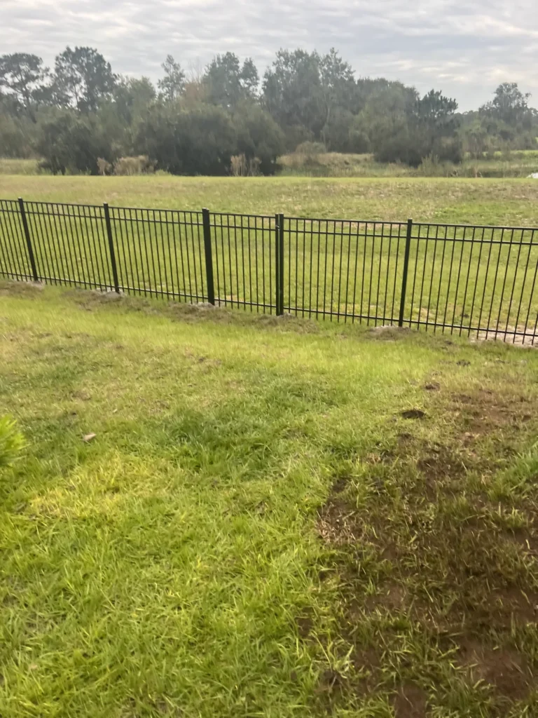 Black aluminum backyard fence bordering an open pasture behind a new home
