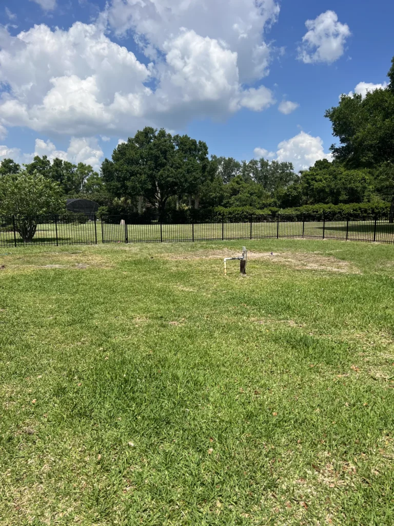 Black aluminum fence enclosing a large sunny Florida backyard