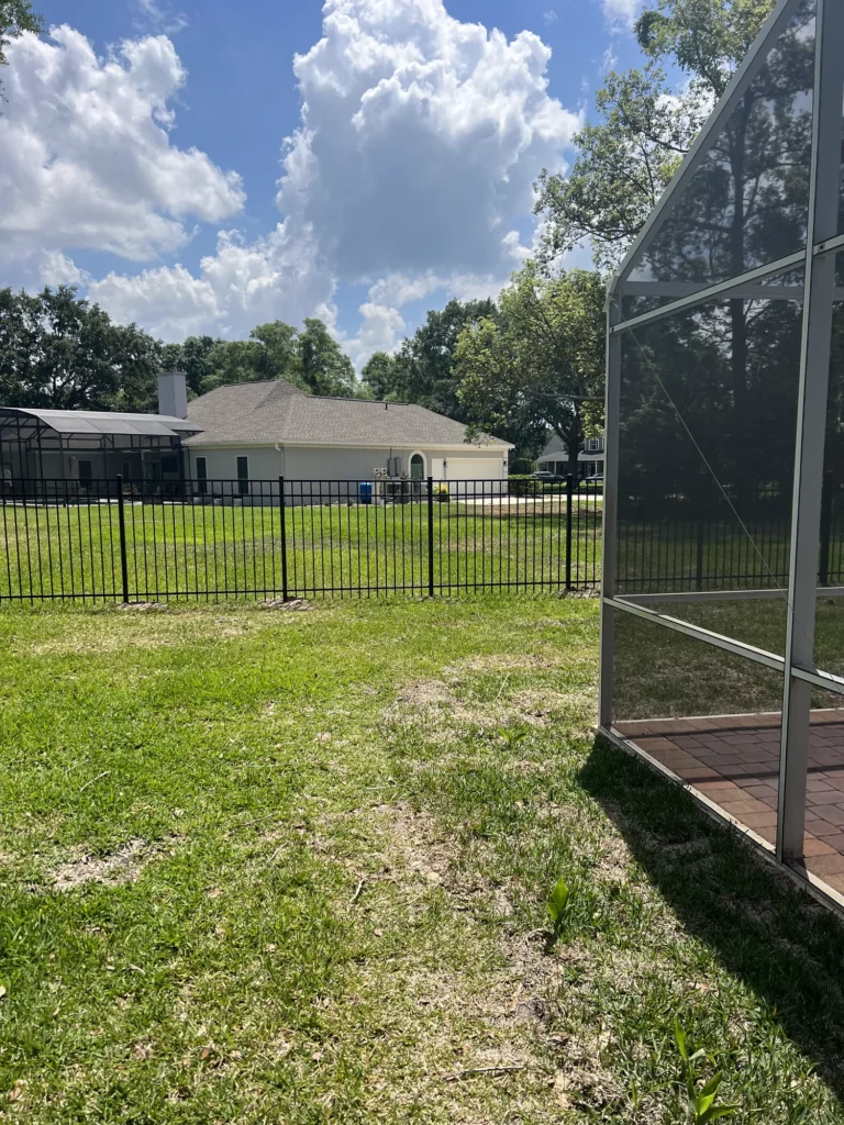 Black aluminum fence beside a screened pool enclosure in a Florida backyard