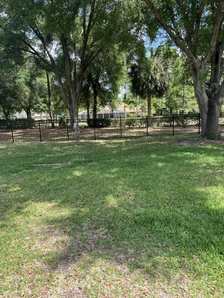 Black aluminum fence running under mature oak trees along a property line