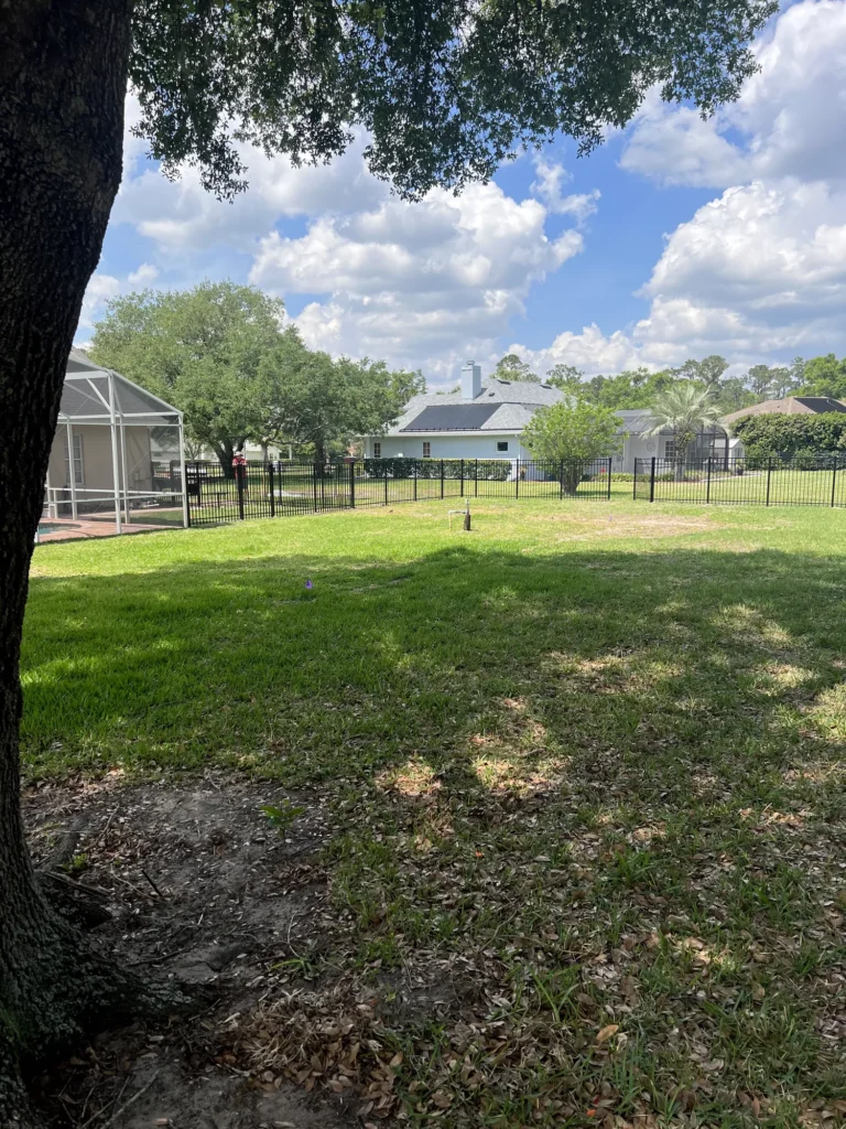 Black aluminum fence across the rear of a shaded residential lot