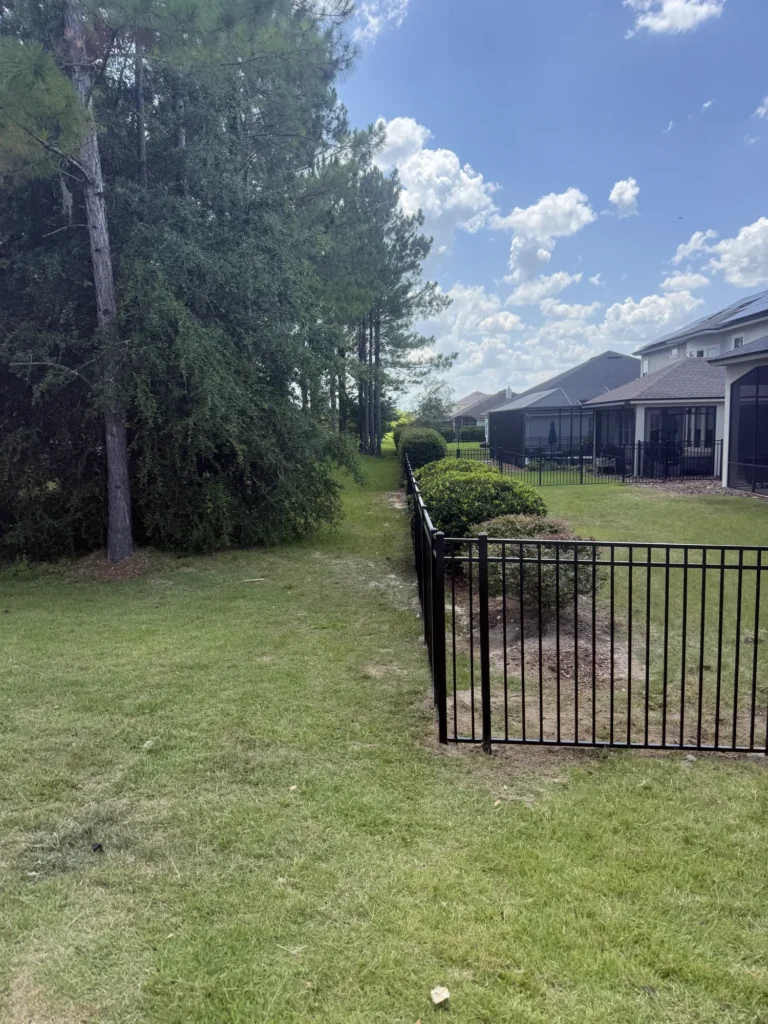Black aluminum fence running along a hedge line at the rear of a residential lot